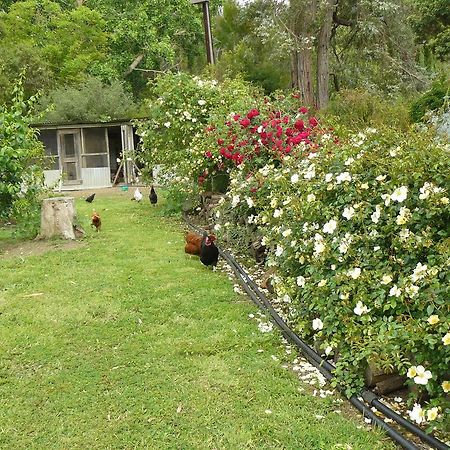 Camawald Coonawarra Cottage B&B Chambre photo